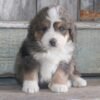Ulric - Image 3