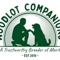 sheepadoodlesforadoption.com